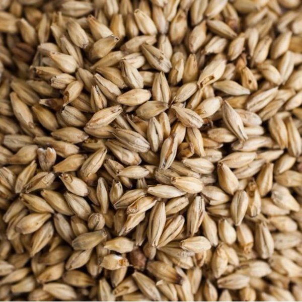 Weyermann Floor Malted Bohemian Pilsner Malt Home Brewing Malt Whole Grain 1lb Bag