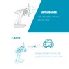 GoolRC Flysky FS-GT5 2.4GHz 6CH AFHDS RC Transmitter with FS-BS6 Receiver for RC Car Boat Radio System