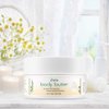 Deluvia Shea Body Butter - Raw Fair Trade Shea Butter, Organic Rose Hip Oil, Organic Lavender, Organic Jojoba Oil, Cocoa Butter & Dead Sea Minerals. Intense Moisturizing Body Cream.