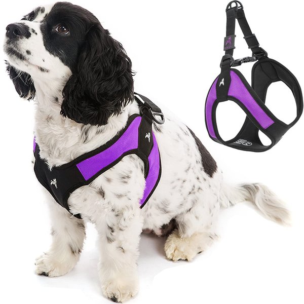 Gooby Escape Free Easy Fit Harness - Purple, Small - No Pull Step-in Patented Small Dog Harness with Quick Release Buckle - Perfect On The Go No Pull Harness for Small Dogs or Medium Dog Harness