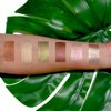 Palladio Liquid Eyeshadow, creamy shimmery formula that instantly adheres to the eyelid with flexible applicator wand for over 8 hours of smudge and crease-proof wear (Pink Pearl)