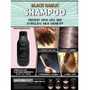 Black Garlic Hair Loss Shampoo by NATUREPOP - Prevents Hair loss, Stimulates growth - Sulfate Free Paraben Free - Ajo Negro Shampoo para la caida del cabello 16.9 fl oz/ 500 mL Made in Korea