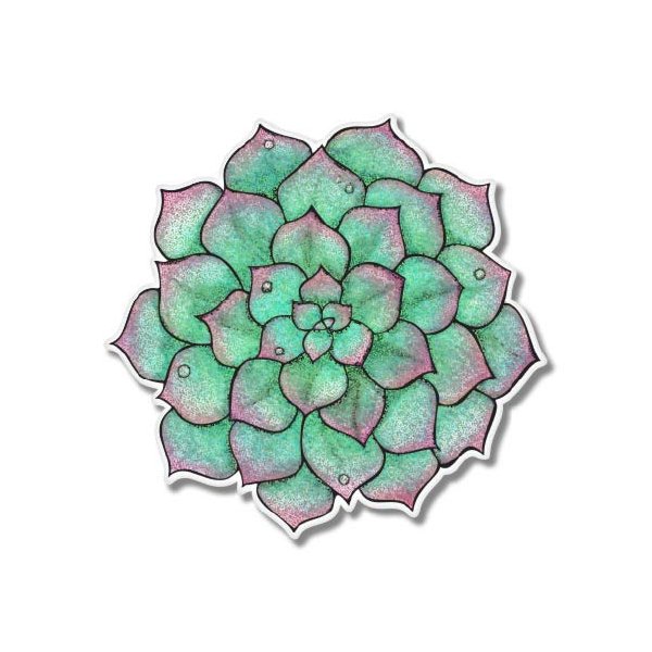 Succulent - 8" Vinyl Sticker - for Car Laptop I-Pad - Waterproof Decal