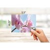 Small World Greetings Orchid Flower Note Cards 24 Count - Blank Inside with White Envelopes - A2 Size 5.5" x 4.25" - Floral Stationery - All Occasion Birthday, Thank You, and More
