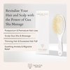 Snow Fox Skincare Gua Sha Hair Brush - White Edition. Scalp Massage Comb with Gold-Plated Metal Bristles for Healthy Follicles. Soothing Gua Sha Acupressure Tool for All Hair Types
