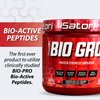 iSatori BIO-GRO Protein Synthesis Amplifier, for Muscle Recovery & Growth, Enhanced Stimulant Free Pre-Workout & Colostrum Supplement with Bio-Active Peptides- Chocolate Ice Cream (60 Servings)