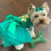 Valentines St Patrick's Day Dog Toy, Plush Pet Squeaky Bone Toys for Puppy