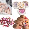 BELICEY 300Pcs Flower Nails Charm Wood Pulp 3D Flower Nail Charms Butterfly Acrylic Nails Accessories for Nail Art Decoration & DIY Crafting Design Flower Nail Charms Glitter Clear Bow Butterfly Nail