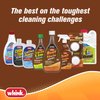 Whink 20223 RUSTGuard Time Released Bowl Cleaner, 3.5 Oz