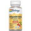 SOLARAY Vitamin B-12 1000mcg Lozenges with Folic Acid | Natural Cherry Flavor | Healthy Energy Support | 90CT