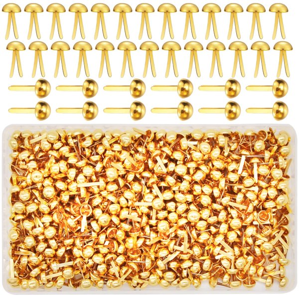 EuTengHao 700Pcs Brass Fasteners Scrapbooking Brads Round Head Brass Plated Fasteners for Craft Art Crafting School Decorative Scrapbooking DIY Supplies (1/2 Inch Shank, 8mm Head, Gold）