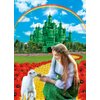 Green Castle Yellow Brick Road Backdrop for Party Decorations 5x7FT Rainbow Floral Castle Gold Brick Road Photography Background Baby Shower Princess Party Decorations Supplies