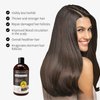 YOUNG SECRET Ginger Herbal Shampoo with 15+ Herbal Ingredients for Thinning Hair and Hair Loss, Protects Hair from Root to Stem,16.9Oz