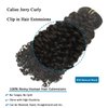 Caliee 14Inch Natural Black Jerry Curly Clip in Hair Extensions Human Hair for Black Women Thick End 3B 3C Curly Clip Ins 1B Real Remy Hair Extensions 120Gram 7Pcs with 17Clips