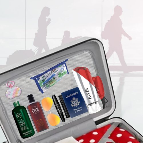 BERTA -Hair-Dryer-Dual-Voltage-Travelling-Hair-Dryer,Ionic Hair Dryer, Foldable Hair Dryer Silver Color…