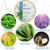 BenePura Cold Sore Ointment 1.35 fl. Oz - Natural Cold Sore Cream Lip Moisturizer for Very Dry Lips - Lip Repair for Dry Cracked Lips - Cold Sore Lip Balm with Plantain and Tea Tree Oil