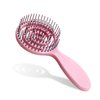 RAIN’S SECRET Lollipop Shaped Mini Detangling Hair Brush for Women,Men,Kid, Wet/Dry Hair,Pocket Detangler for Outing or Traveling (pink)