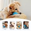 Nobleza Squeaky Dog Ball, Durable Bouncy Floatable Dog Balls for Chewing and Teeth Cleaning, Interactive Natural Rubber Lightweight Dog Toy Ball for Small and Medium Dogs, 3.15 in, Blue