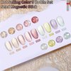 Gsnagole Silk Cat Eye Gel Nail Polish Set Of 9 Colors Ceramic Moonlight Glitter Reflective Shimmer White Orange Green Blue Purple Red Jelly Magnetic French Gel Polish Kit (Full Set Of 9 Colors)