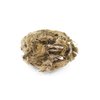 EISCO EcoExploration Simulated Owl Pellet with Vole - Realistic Educational Tool for Biology and Ecology, Reusable, 3x1.25 Inches - Made in USA (Pack 5)