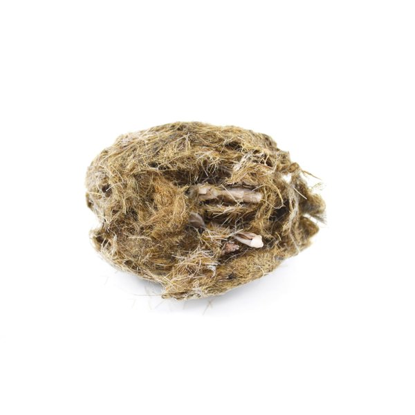 EISCO EcoExploration Simulated Owl Pellet with Vole - Realistic Educational Tool for Biology and Ecology, Reusable, 3x1.25 Inches - Made in USA (Pack 5)