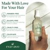 Eva + Avo Avocado Oil for Hair – Hydrating Hair Oil with Avocado and Castor Oil – Paraben and Sulfate-Free – Reduces Frizz and Restores Shine - 2 Fl Oz