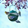 Perky-Pet GSB00344 Green Seed Ball Wild Bird Feeder