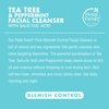 Petal Fresh Tea Tree & Peppermint Facial Cleanser, Blemish Control, Clean Skincare, Daily Facial Cleanser, Vegan and Cruelty Free, 5 oz