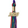 Endea Graduation Double Color Tassel with Gold Date Drop (Rainbow, 2023)