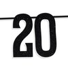 Black Glitter My 20's Dead & Buried Banner, Rip My 20's/Happy 30th Birthday/Not 30 Yet, 30th Birthday Party Decorations Supplies