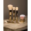 Taupe The Brand, 2.0 Soft Brown Brow Palette, Clear Brow Gel, 7-Piece Gold Professional Makeup Brush Set Combo Pack