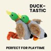 2-Pack Plush Duck Dog Toys with Squeakers, Crinkle Wings for Small Medium Dogs, Interactive Dog Toy, Durable Dog Toys to Keep Them Busy, Dog Chew Toy for Aggressive Chewers