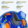 EVERICH TOY Toddlers Soccer Ball with Pump, Small Soccer Ball Size 2 Dinosaur for Toddlers Kids, Indoor Outdoor Backyard Lawn Game, Ideal Gift for Operation Christmas Child Shoe Box