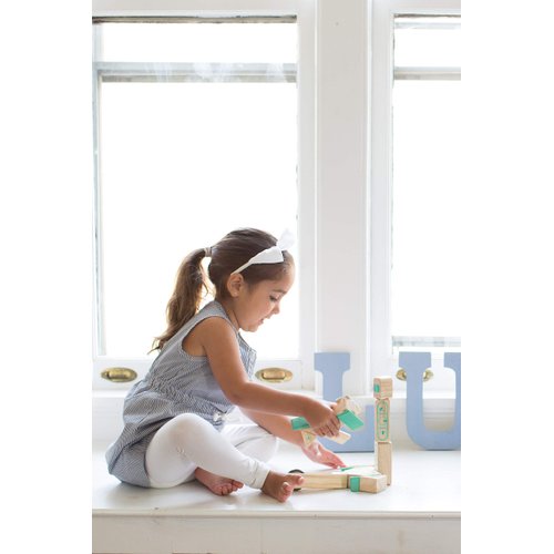 Tegu Magbot Magnetic Wooden Block Set, 1-99 years old, 9 piece