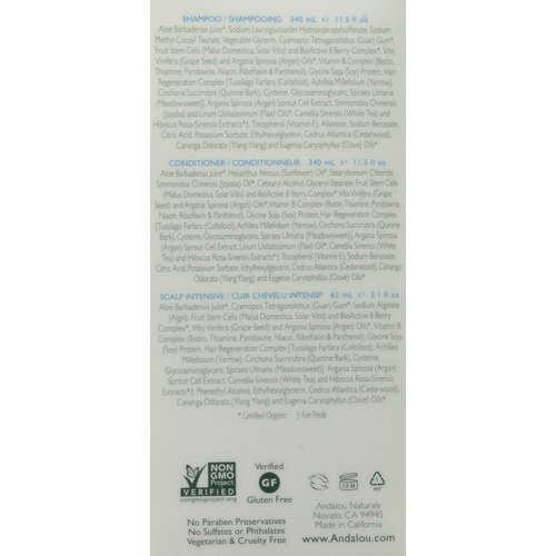 Andalou Naturals Age Defying Hair Treatment System - 3 oz