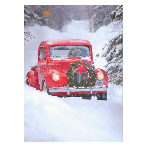 Dogs in Truck - Box of 10 Avanti Christmas Cards
