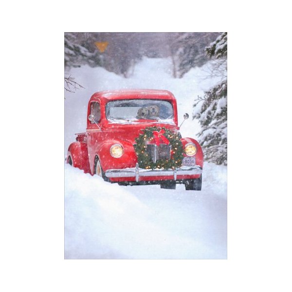Dogs in Truck - Box of 10 Avanti Christmas Cards