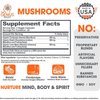Genius Mushroom Supplement - Lions Mane, Cordyceps, Reishi - Brain Nootropic for Energy, Focus, Overall Wellness, & Immune Support - 90 Capsules