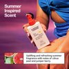EVERYDAY HUMANS Sun Glazed | SPF 30 Sheer Body Glow Oil Sunscreen with Gold Shimmer Mica, 5.1oz | Sweat and Water Resistant | Non-Greasy, Moisturizing with Squalane, Jojoba Oil | Citrus Scent