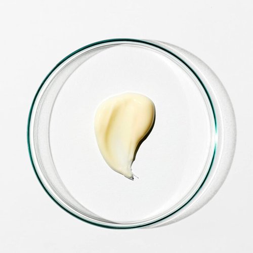 Grown Alchemist Regenerating Night Cream (40ml)