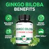 1000mg Ginkgo Biloba Supplements with L-Tyrosine, L-Theanine - 120 Capsules for 2-Month Supply - Support Focus, Mermory Function, Brain Health & Vision Quality