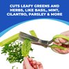 Jenaluca Herb Scissors with 5 Blades and Safety Cover - Salad Scissors - Cut, Chop & Mince Fresh Herbs & Leafy Greens - Stainless Steel Kitchen Shears with Cleaning Comb - Cool Kitchen Gadgets (Green)
