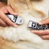Dog Collar Seatbelt Buckle Lion King Scar Poses White Black 15 to 26 Inches 1.0 Inch Wide