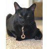 Dog Tag Art Ninja Kitty Personalized Pet ID Tag for Cats, Silent Polymer Coated Stainless Steel Nametag with Customized Identification Information, Small .875 Inch Diameter