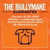 BULLYMAKE Nylon Steak Chew Toy For Dogs | Durable Dog Toy for Aggressive Chewers | Made in USA