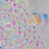 5D Embossed Nail Art Stickers - Shell Starfish Nail Stickers Self Adhesive Summer Nail Decals Cute Ocean Theme Design Colorful Shells Nail Art Supplies for Women Girls DIY Nail Salons