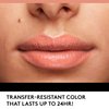 COVERGIRL Outlast All-Day Lip Color with Moisturizing Topcoat, New Neutrals Shade Collection, Muted Berry, Pack of 1