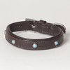 XX-Small Genuine Leather Padded Decorated Arizona Dog Collar; Fits Neck Size 8" - 10"