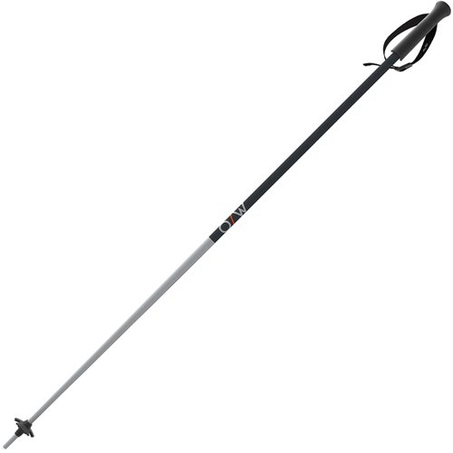 Fischer ONE Way Unisex GT 18 Alpine Skis Poles - Durable Lightweight Aluminum Easy-to-Use Outdoor Winter Sports Downhill Ski Poles with Ergonomic Grip & Adjustable Strap - Pair, 120