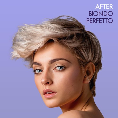 Rocco Donna Purple Shampoo for Blonde and Gray Hair | Neutralize Brassy Yellow Tones | Safe for Color-Treated Hair | 8 oz